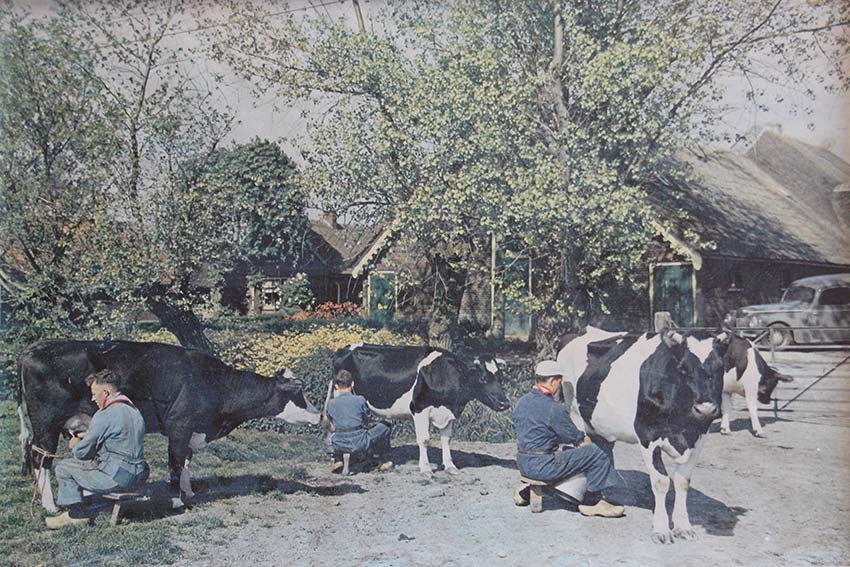 Geschiedenis De Willigen